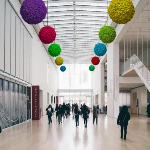 Mosbal met rendiermos