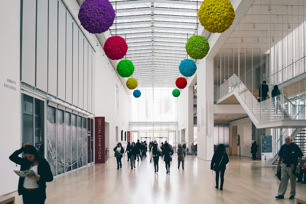 Mosbal met rendiermos Mosbal met rendiermos