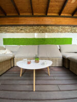 Moswand - Mospaneel met IJslands mos