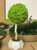 Decoratieve boom met mos en natuurlijk hout