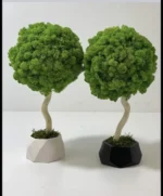 Decoratieve boom met mos en natuurlijk hout