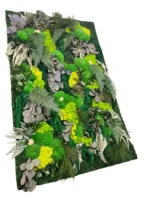 Plantenwandpanelen - Mospaneel met planten