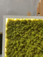 Mossen schilderij met IJslands mos en LED-verlichting