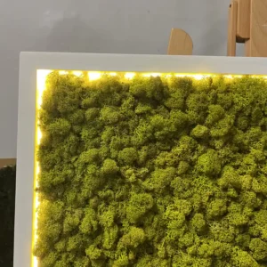 Mossen schilderij met IJslands mos en LED-verlichting