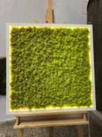 Mossen schilderij met IJslands mos en LED-verlichting