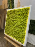 Mossen schilderij met IJslands mos en LED-verlichting