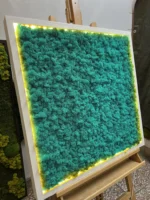 Mossen schilderij met IJslands mos en LED-verlichting