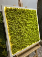 Mossen schilderij met IJslands mos en LED-verlichting