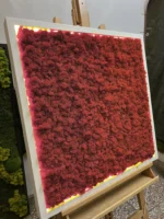 Mossen schilderij met IJslands mos en LED-verlichting