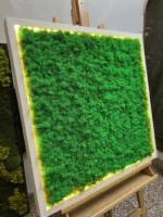 Mossen schilderij met IJslands mos en LED-verlichting