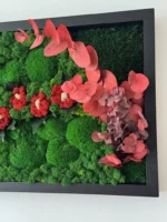 Moswandpaneel met rode mosbloemen & eucalyptus