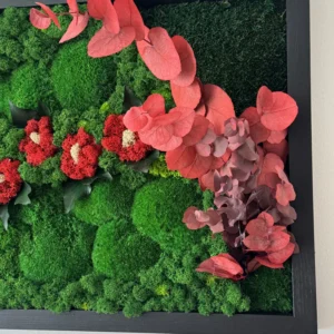 Moswandpaneel met rode mosbloemen & eucalyptus