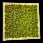 Mossen schilderij met IJslands mos en LED-verlichting