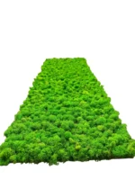 Mospaneel met IJslands mos