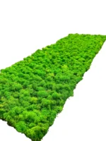 Mospaneel met IJslands mos