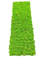 Mospaneel met IJslands mos