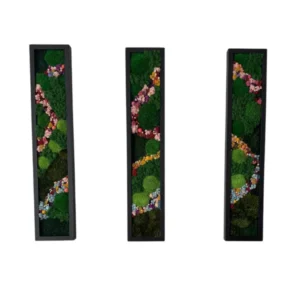 Set van schilderijen van mos - Bosmagie met bloemenpaden