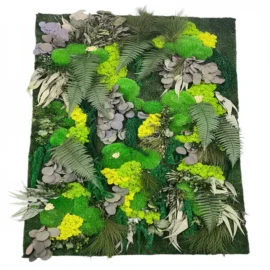 Plantenwandpanelen - Mospaneel met planten