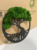 Mosboom in ring met Cladophora-bollen