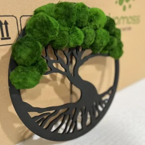 Mosboom in ring met Cladophora-bollen