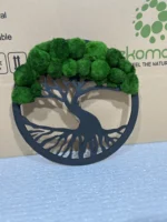 Mosboom in ring met Cladophora-bollen