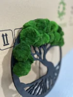 Mosboom in ring met Cladophora-bollen