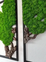 Mossen schilderij 3-delige set – Mosboom met rendiermos en kurkhout