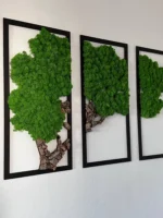 Mossen schilderij 3-delige set – Mosboom met rendiermos en kurkhout