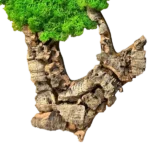 Mossen schilderij 3-delige set – Mosboom met rendiermos en kurkhout