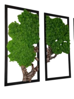 Mossen schilderij 3-delige set – Mosboom met rendiermos en kurkhout