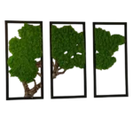 Mossen schilderij 3-delige set – Mosboom met rendiermos en kurkhoutMossen schilderij 3-delige set – Mosboom met rendiermos en kurkhout