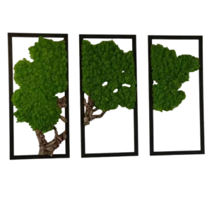 Mossen schilderij 3-delige set – Mosboom met rendiermos en kurkhoutMossen schilderij 3-delige set – Mosboom met rendiermos en kurkhout