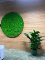 Ekomoss doe-het-zelf set voor ronde mosafbeelding – rendiermos