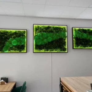 Set van mos schilderijen met verlichting