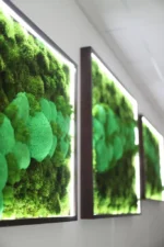 Mosafbeeldingen set met verlichting