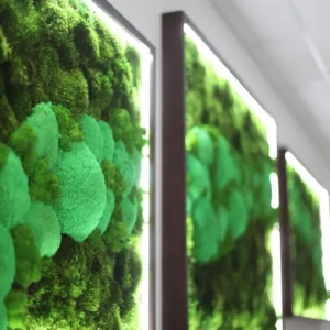 Mosafbeeldingen set met verlichting