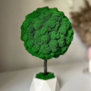 Decoratieve boom met mos en natuurlijk hout