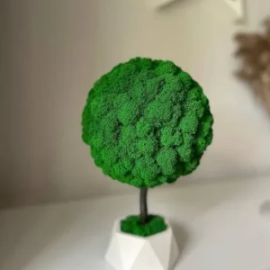 Decoratieve boom met mos en natuurlijk hout