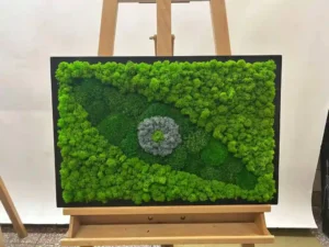 Groen Oog van Mos: Schilderijen met Mos