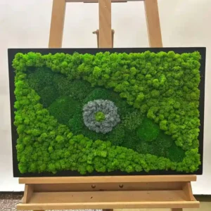 Groen Oog van Mos: Schilderijen met Mos