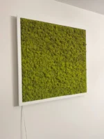 Mossen schilderij met IJslands mos en LED-verlichting