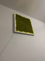 Mossen schilderij met IJslands mos en LED-verlichting