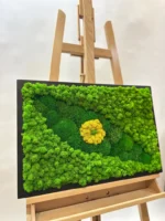 Groen Oog van Mos: Schilderijen met Mos