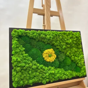 Groen Oog van Mos: Schilderijen met Mos