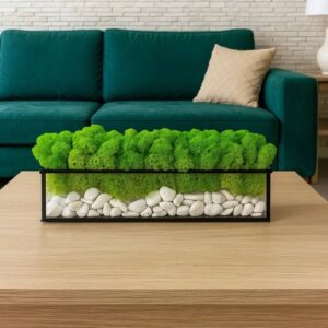 Mos in glas met witte stenen – Bosgeometrie