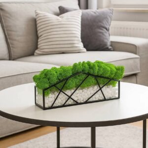 Mos in glas met witte stenen – Groene Tuin