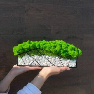 Mosarium "Groene Tuin" – Mos in glas met witte stenen