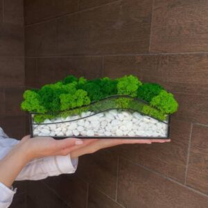 Mosarium "Groene Golf" – Mos in glas met witte stenen