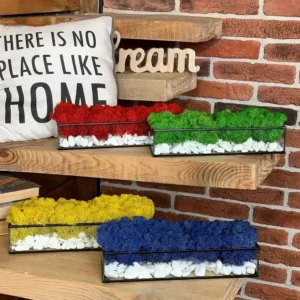 Mos in glas met witte stenen – Bosgeometrie