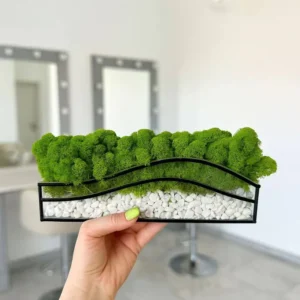 Mos in glas met witte stenen – Kleurenoase